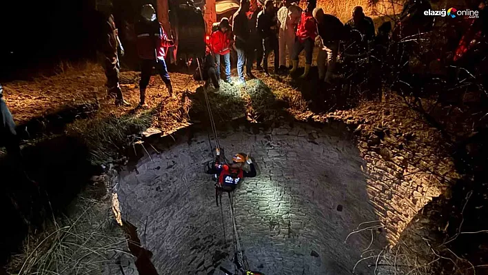 Diyarbakır'da kuyuya düşen yaban domuzu böyle kurtarıldı