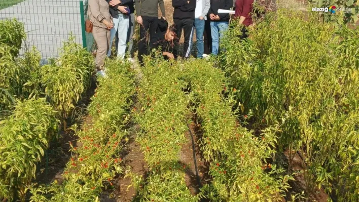 Diyarbakır'da lise öğrencilerine anlamlı eğitim