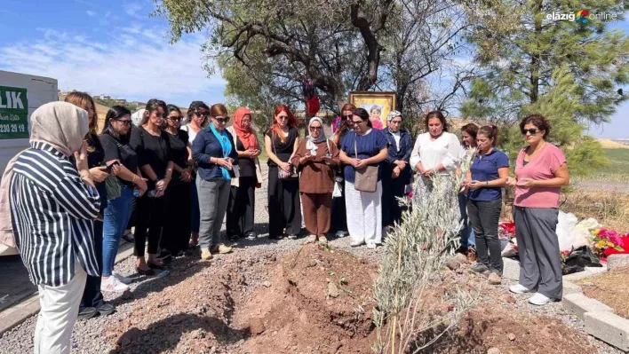 Diyarbakır'da Narin Güran cinayeti için ortak tepki