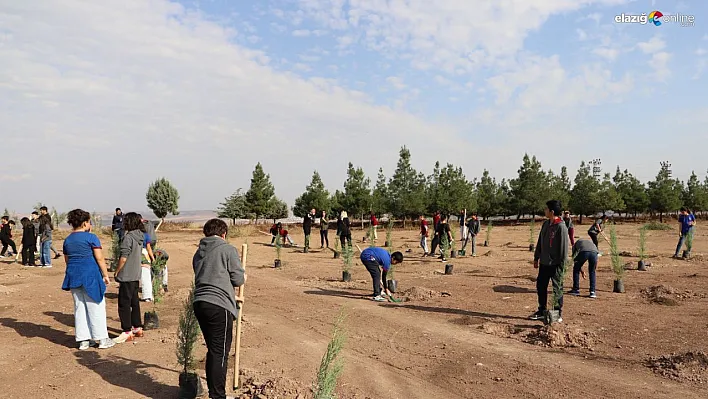 Diyarbakır'da öğrenciler fidan dikti