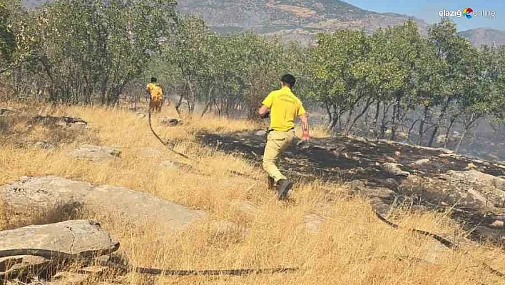 Diyarbakır'da orman ve örtü yangını