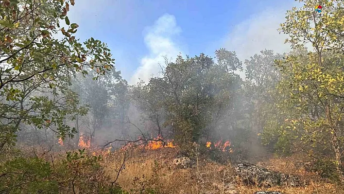 Diyarbakır'da örtü yangını 7 saat sonra helikopter desteğiyle söndürüldü