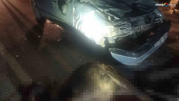 Diyarbakır'da otomobil mandalara çarptı!
