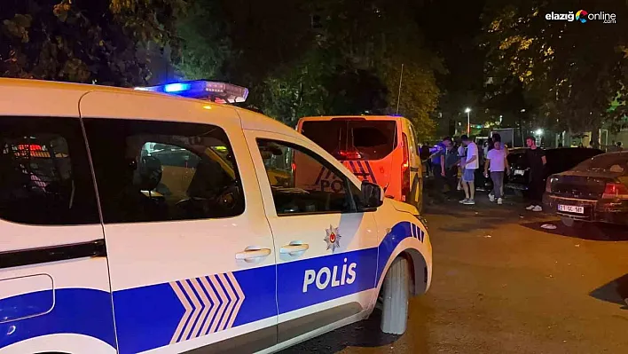 Diyarbakır'da palayla saldırı: 1 ölü, 1 yaralı