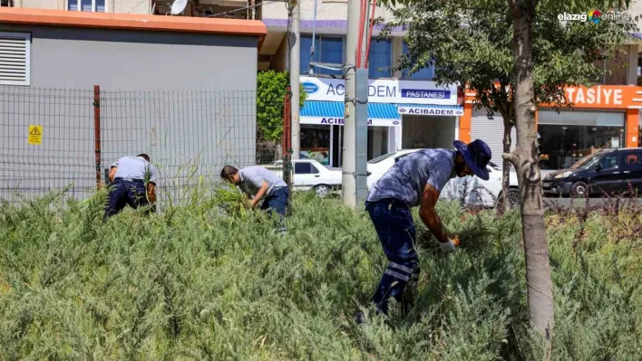 Diyarbakır'da park ve bahçelerde temizlik çalışmaları