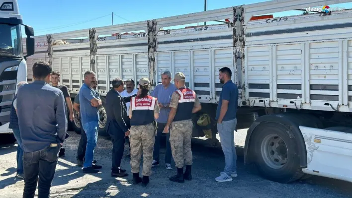 Diyarbakır'da sevk belgesi olmayan 384 adet hayvan kontrole takıldı