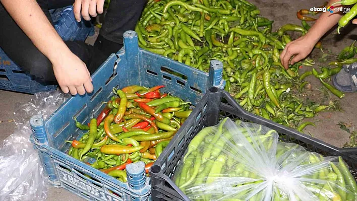 Diyarbakır'da sıcak hava sebze ve meyveleri etkiledi