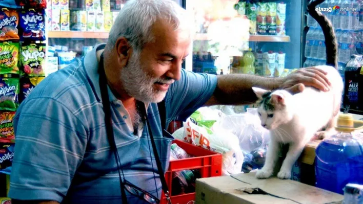 Diyarbakır'da sokak hayvanları için çağrı