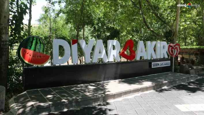 Diyarbakır yanıyor! Dereceler 45 dereceyi gösterdi