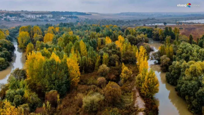 Diyarbakır'da sonbaharda eşsiz manzaralar