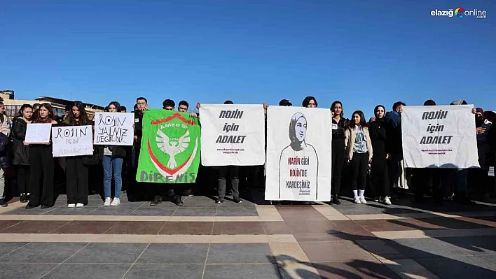 Van Gölü'nde Hayatını Kaybeden Rojin Kabaiş İçin Adalet Çağrısı!