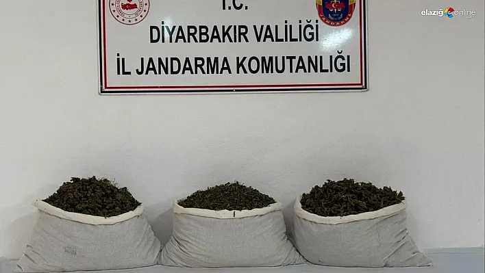 Diyarbakır'da uyuşturucu operasyonları