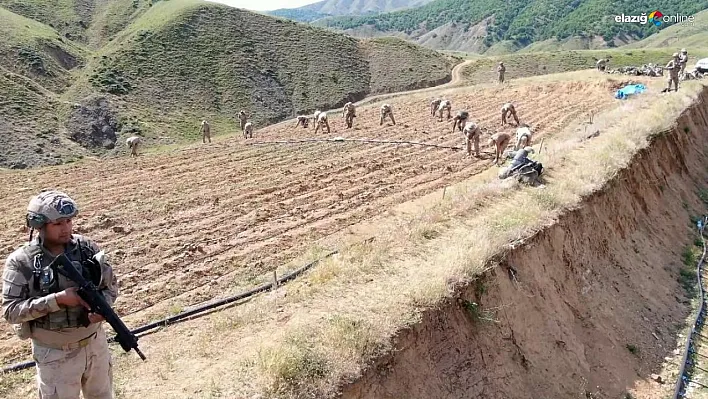 Diyarbakır Jandarmasından Uyuşturucuya Ağır Darbe: 160 Milyarlık Operasyon!