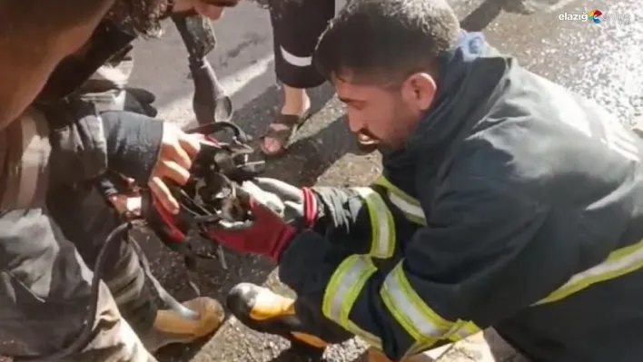 Diyarbakır'da yangından kurtarılan kediye oksijen destekli müdahale