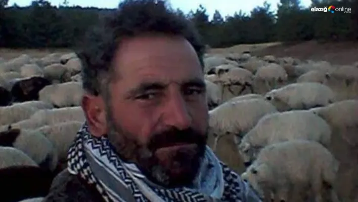Diyarbakır'da yıldırımın çarptığı çoban hayatını kaybetti