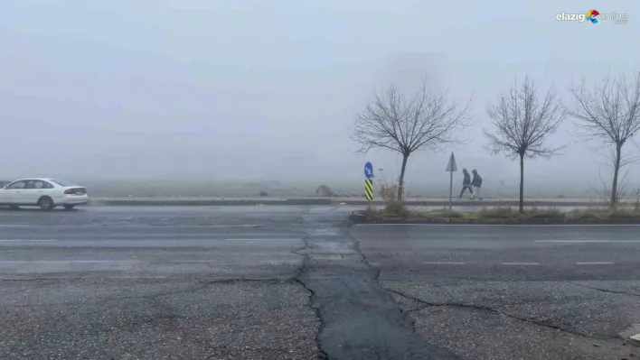 Diyarbakır'da yoğun sis