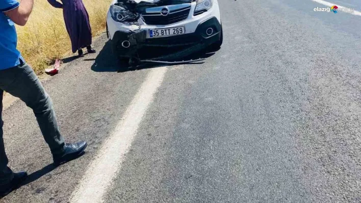 Diyarbakır'da yol kenarında oturan 2 kişiye otomobil çarptı
