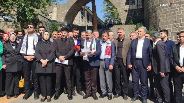 Diyarbakır'dan Cumhurbaşkanı Erdoğan liderliğinde Filistin'e destek mesajı