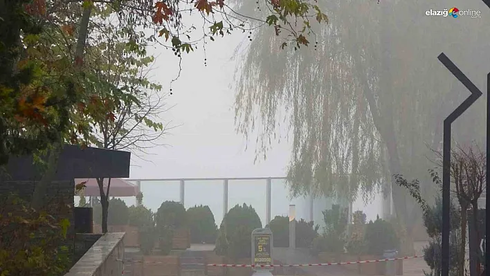 Diyarbakır güne yoğun sis ile uyandı