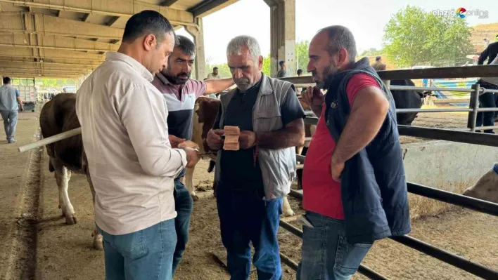 Diyarbakır Hayvan Borsası'nda son pazarlıklar yapılıyor