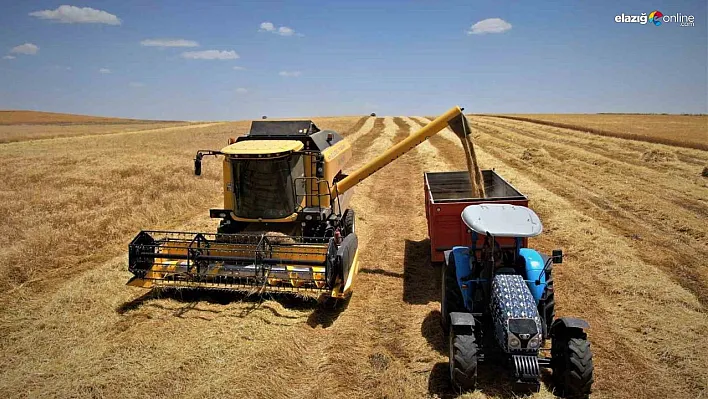 Diyarbakır hububatında tarihi rekolte: Çiftçinin yüzü güldü