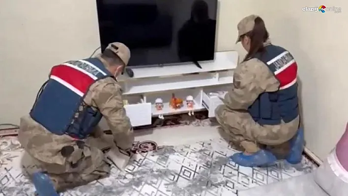 Diyarbakır jandarmasından Türkiye geneli operasyon