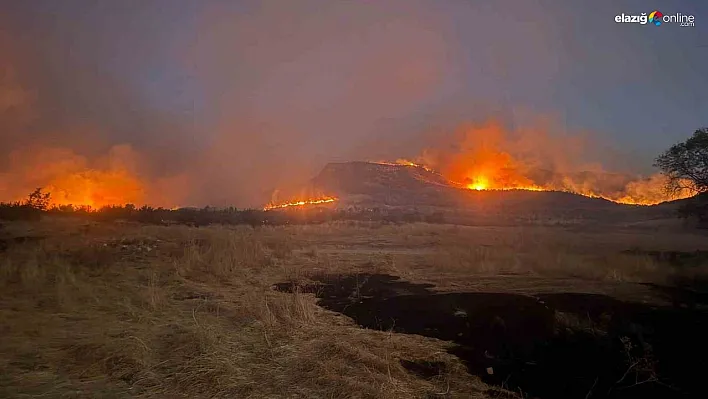 Diyarbakır'ın 3 ilçesinde etkili olan yangına müdahale devam ediyor