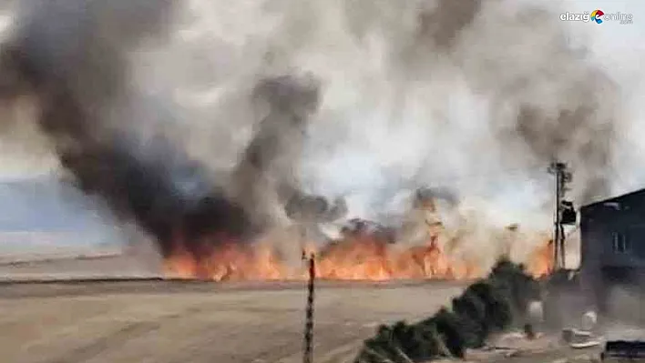 Diyarbakır'ın 3 mahallesinde buğday tarlası yangını