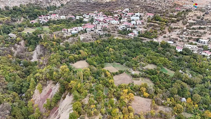 Diyarbakır'ın bu köyünde ne eksen onu biçiyorsun