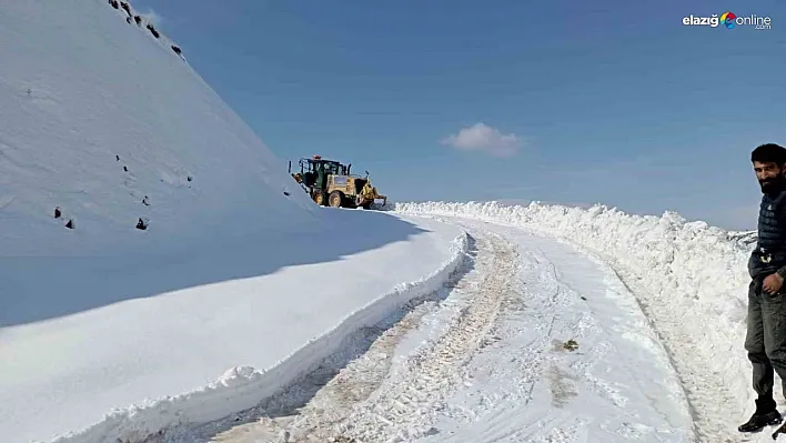 Diyarbakır'ın iki ilçesinde karla kaplı yollar temizlendi