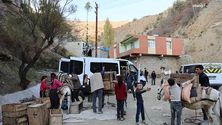 Diyarbakır'ın kırsal mahallesinde yükler eşeklerle evlere götürülüyor