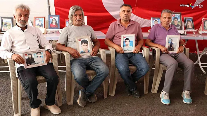 Diyarbakırlı aileler silah bırakma sürecinden umutlu