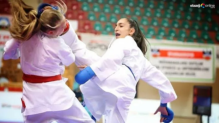 Diyarbakırlı sporcular karate turnuvasında
