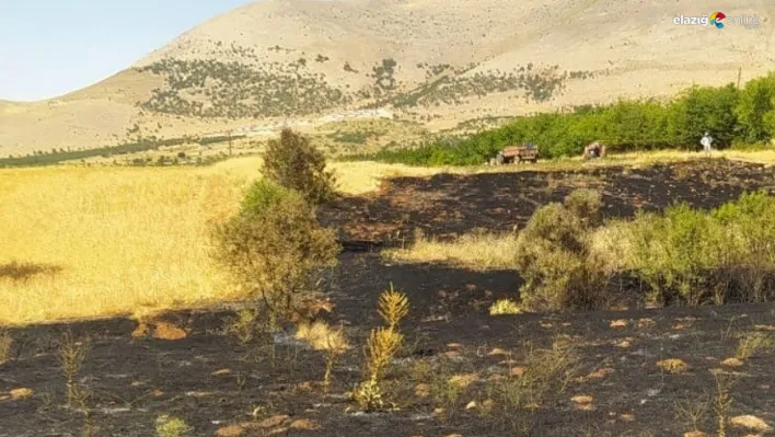 Doğanşehir'de anız yangını