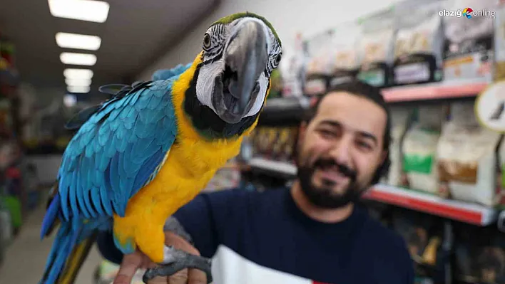 Dayıya Elazığlılardan büyük ilgi!