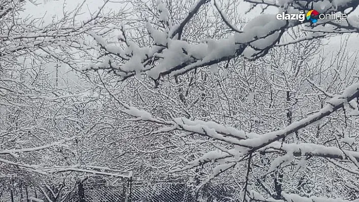 Elazığ'a lapa lapa kar yağdı