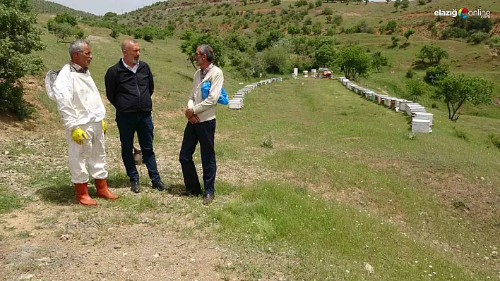 Elazığlı arıcılardan, 'Dünya Arı Günü'nde' arıların ekolojik önemine vurgu!