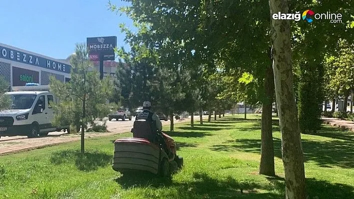 Elazığ Belediyesi yeşil alan çalışmalarını aralıksız sürdürüyor