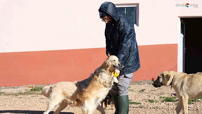 Elazığ Belediyesinden yenilikçi bir hizmet daha!