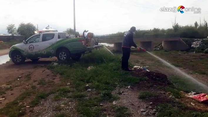 Elazığ İl Özel İdaresi ilaçlamaya bayramda da devam etti