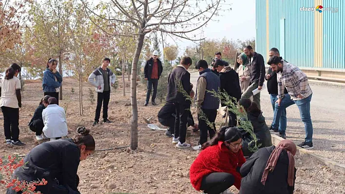 Elazığ'da Yeşil Vatan Seferberliği: Seza Çimento ve Öğrencilerden Doğaya Nefes!