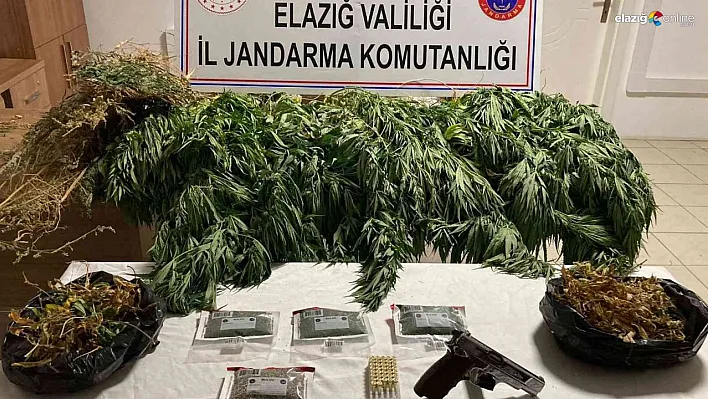 Elazığ jandarma ekiplerinden uyuşturucu operasyonu!