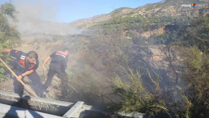 Elazığ'da bir saat içerisinde üç farklı bölgede yangın!