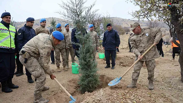 Harput'ta 2 Bin 300 Fidan Toprakla Buluştu: Elazığ'dan Doğaya Büyük Destek!