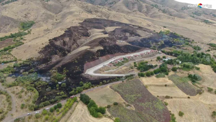 Elazığ Cevizdere köyünde yangın: 200 dönüm arazi kül oldu