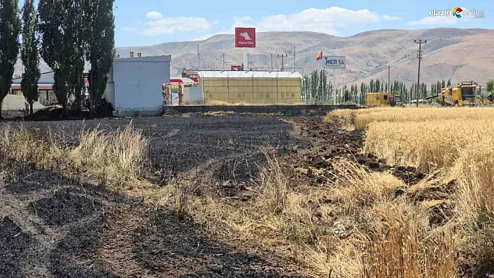 Elazığ Karakoçan'da Yangın: 23 Dönüm Buğday Tarlası Kül Oldu!
