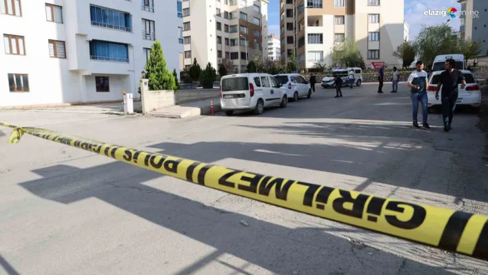 Elazığ'da Bıçaklar ve Silahlar Çekildi: 1 Tutuklama, 2 Yaralı!