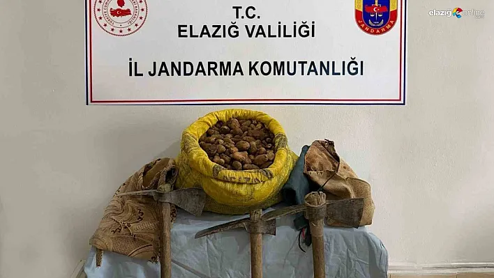 Elazığ'da salep operasyonu!