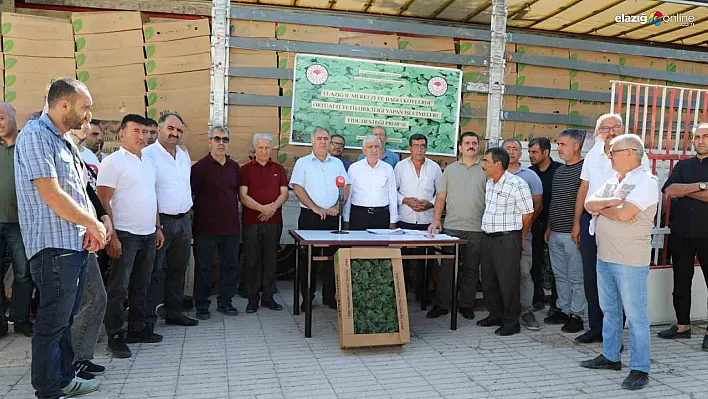 Elazığ'da tarıma destek: Fideler üreticilere dağıtıldı!