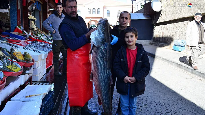 Elazığ'da 69 Kiloluk Turna Balığı Yakalandı! Elazığ'da Tezgahları Süsledi!